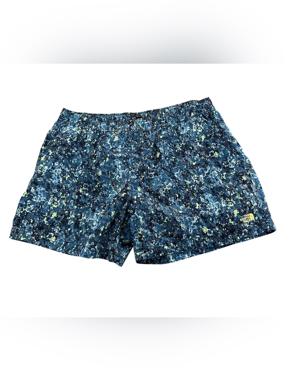 The North Face Men's Wander Shorts in Beta Blue Lichen Size XXL